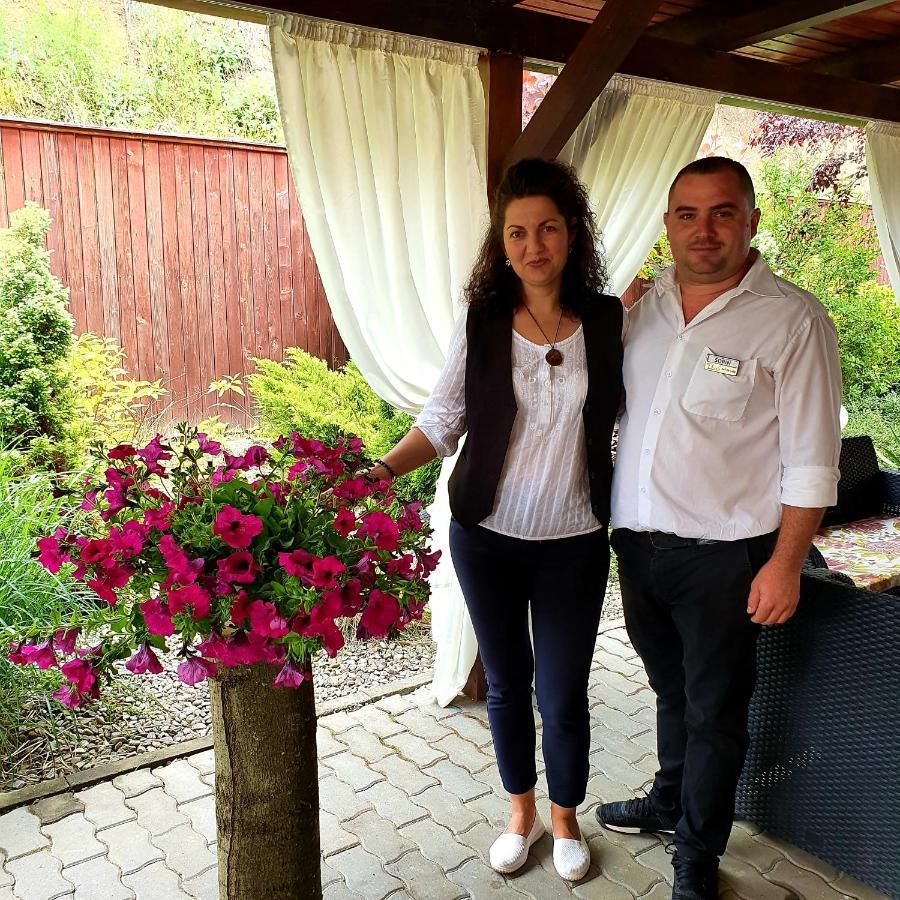 Hotel Dennis Medgyes Kültér fotó